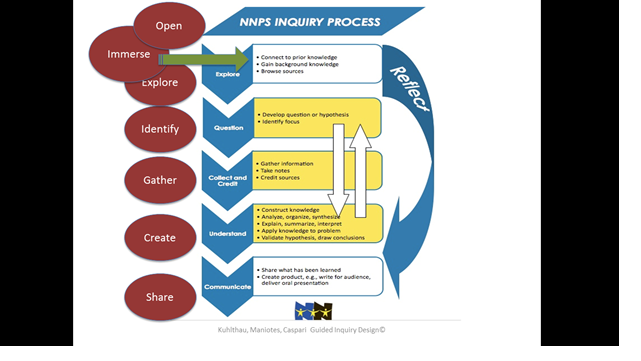 nnpsinquiry-model